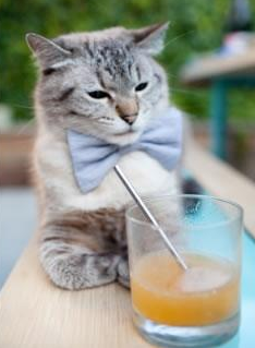 leyu.com-_全景艺体秀：光影盛宴中的运动奇迹_，光影艺术体验展