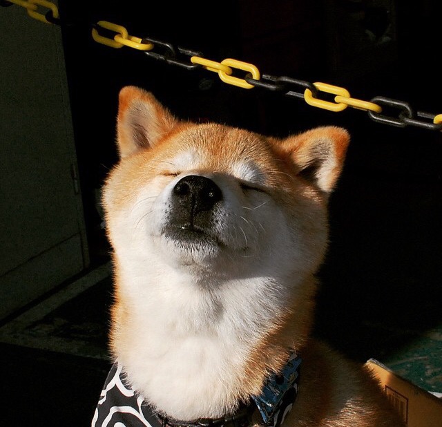 _全景艺体秀:光影盛宴中的运动奇迹_,光影艺术体验展