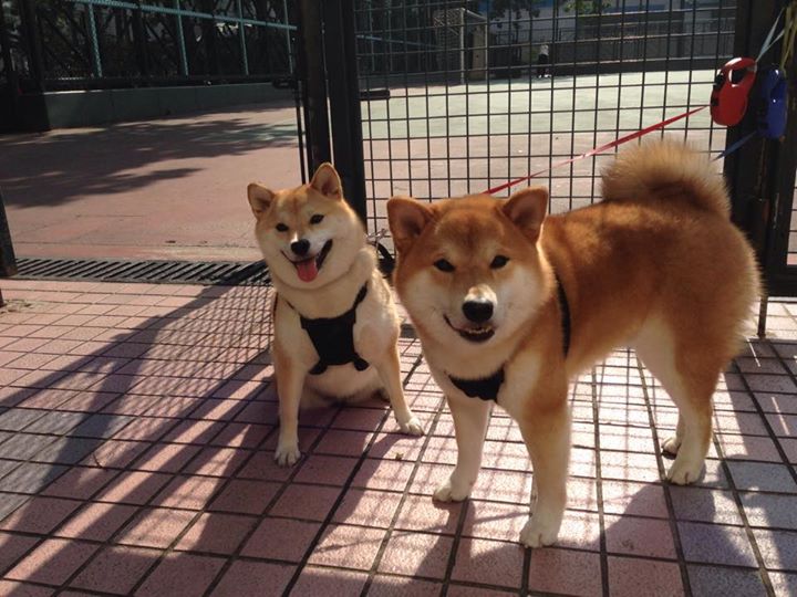 【激烈对抗】东西部劲旅的巅峰碰撞,东西部经济发展