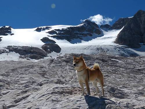 全国青少年“绿色篮球”环保赛事在重庆成功举办,2021青少年篮球比赛