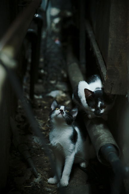 史上最激烈的“欧冠大战”榜单出炉，最精彩的欧冠比赛