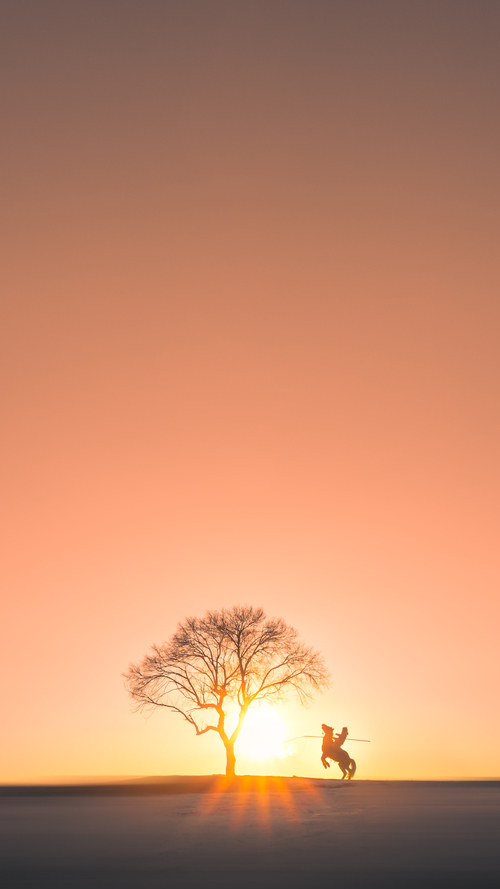 失误是败因:上海队全场失误高达20次,错失获胜良机,上海队打败了北京队,获得了冠军