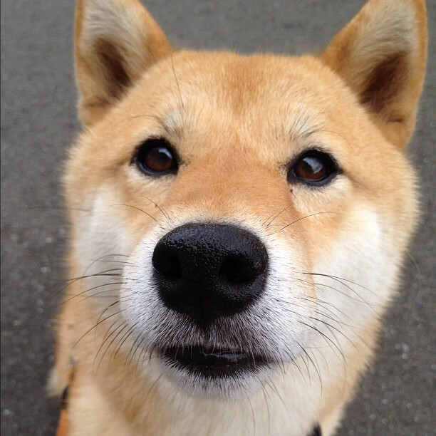 乐鱼电竞-青少年“梦想成长”篮球真人秀节目在全国热播，鼓励积极向上精神