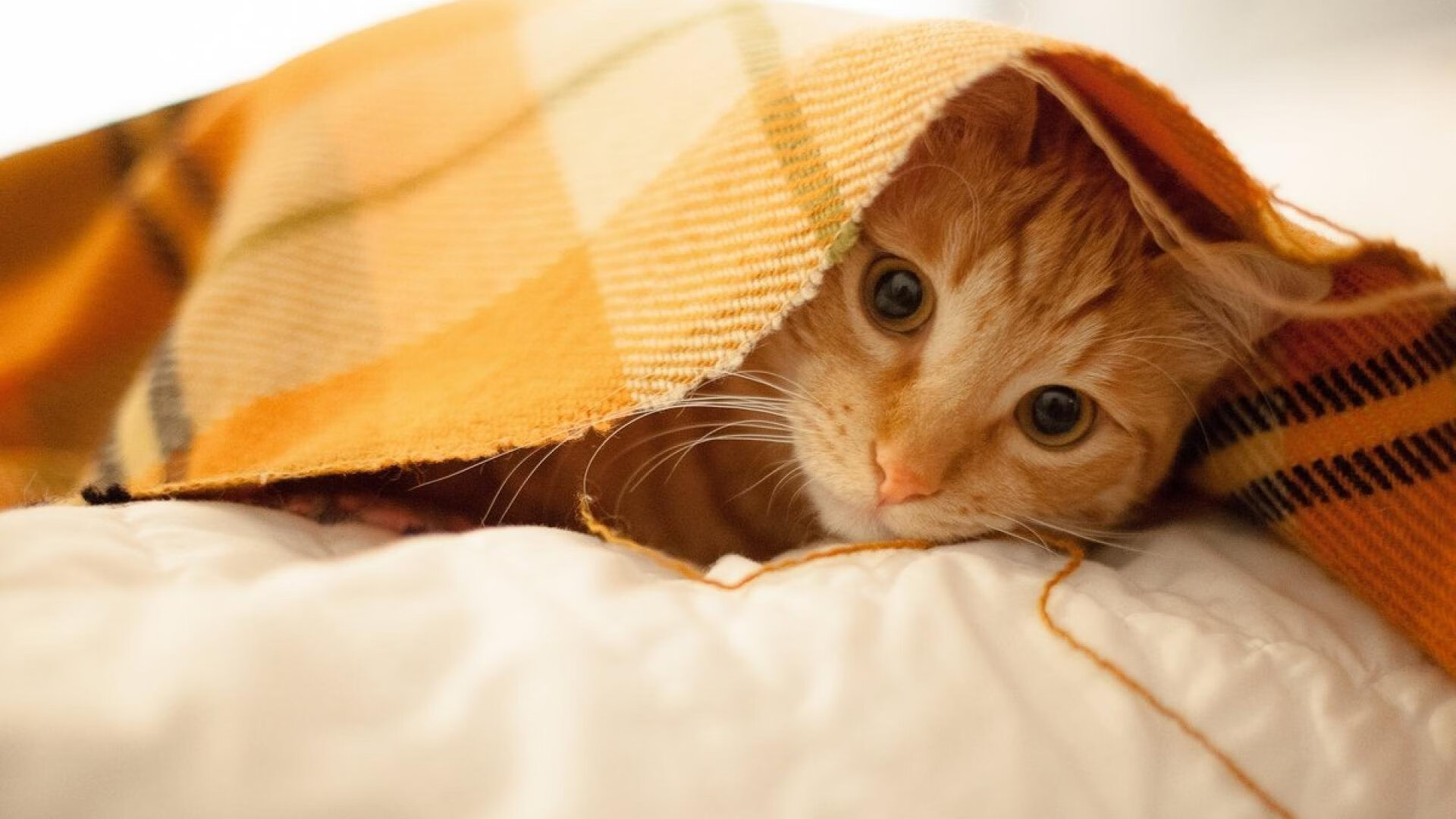 JDG推行职业选手康复训练体系