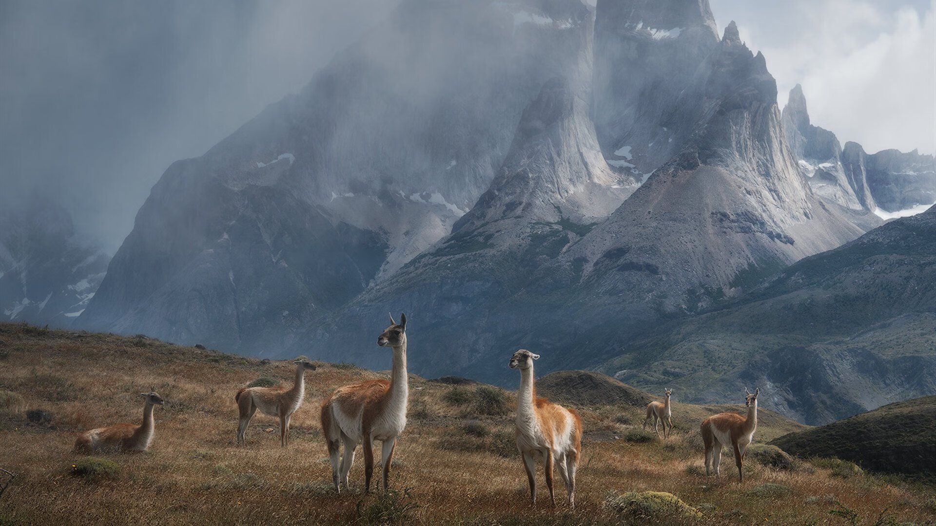 JDG教练战术分析引发热议,jdg主教练