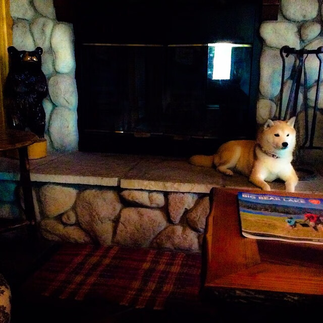 国米客场-击败亚特兰大,拉扎罗攻入制胜球,国米vs拉齐奥38轮