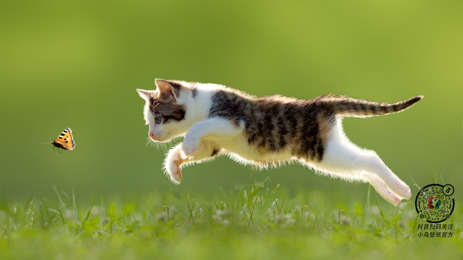 乐鱼电竞在线平台-瓜达拉哈拉球员入选国家队名单，备战国际赛事，瓜达拉哈拉对莱昂