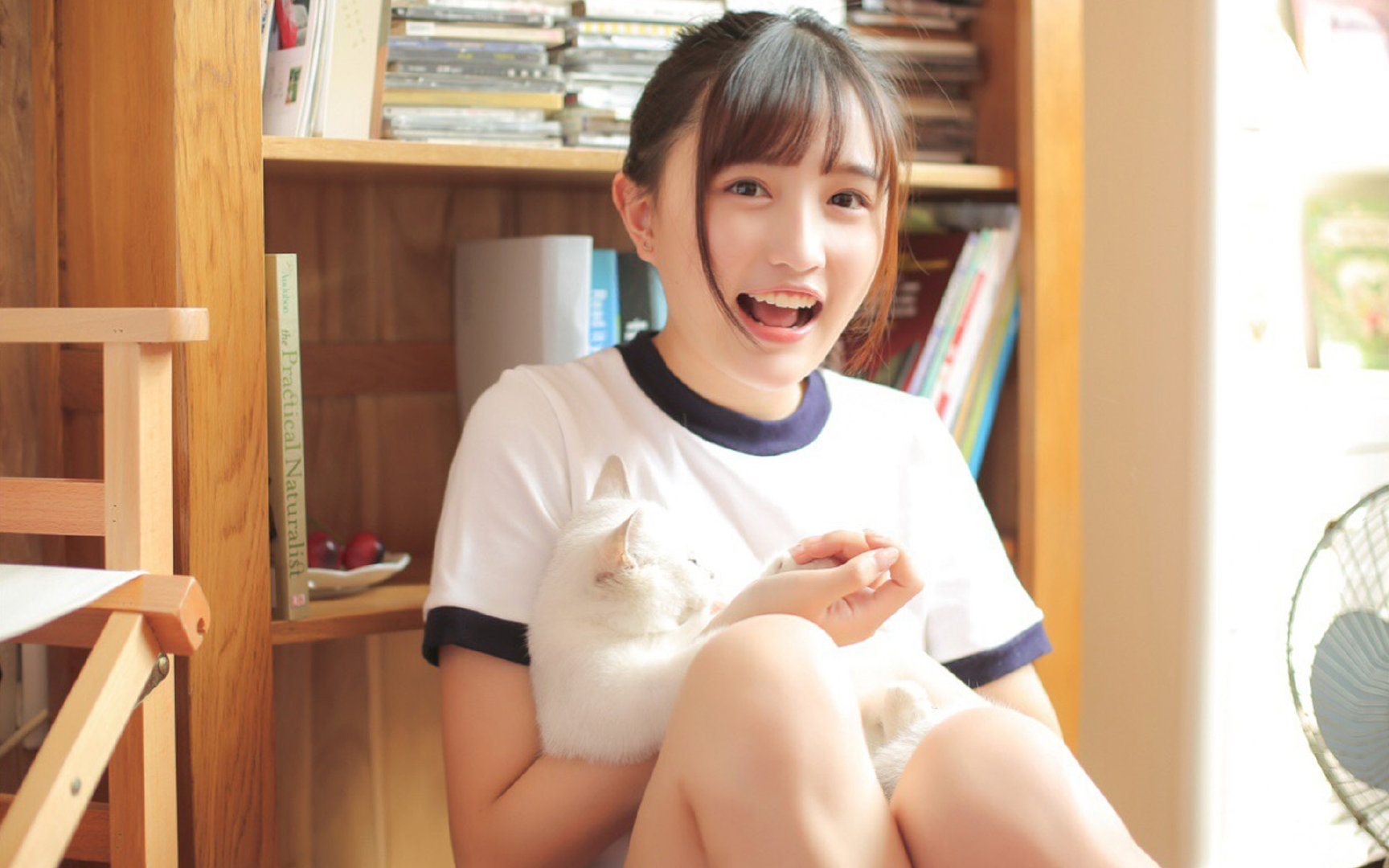 职业球员合同管理是否透明公开,球员合同分类