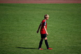 乐鱼官方登录入口-世界青年滑板锦标赛中国少年夺奖，青少年滑板联赛