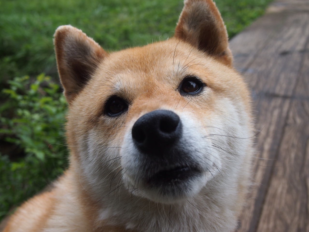 英超赛季中期球员高强度冲刺频次与肌肉疲劳关系,英超球员一场球赛平均跑多少米