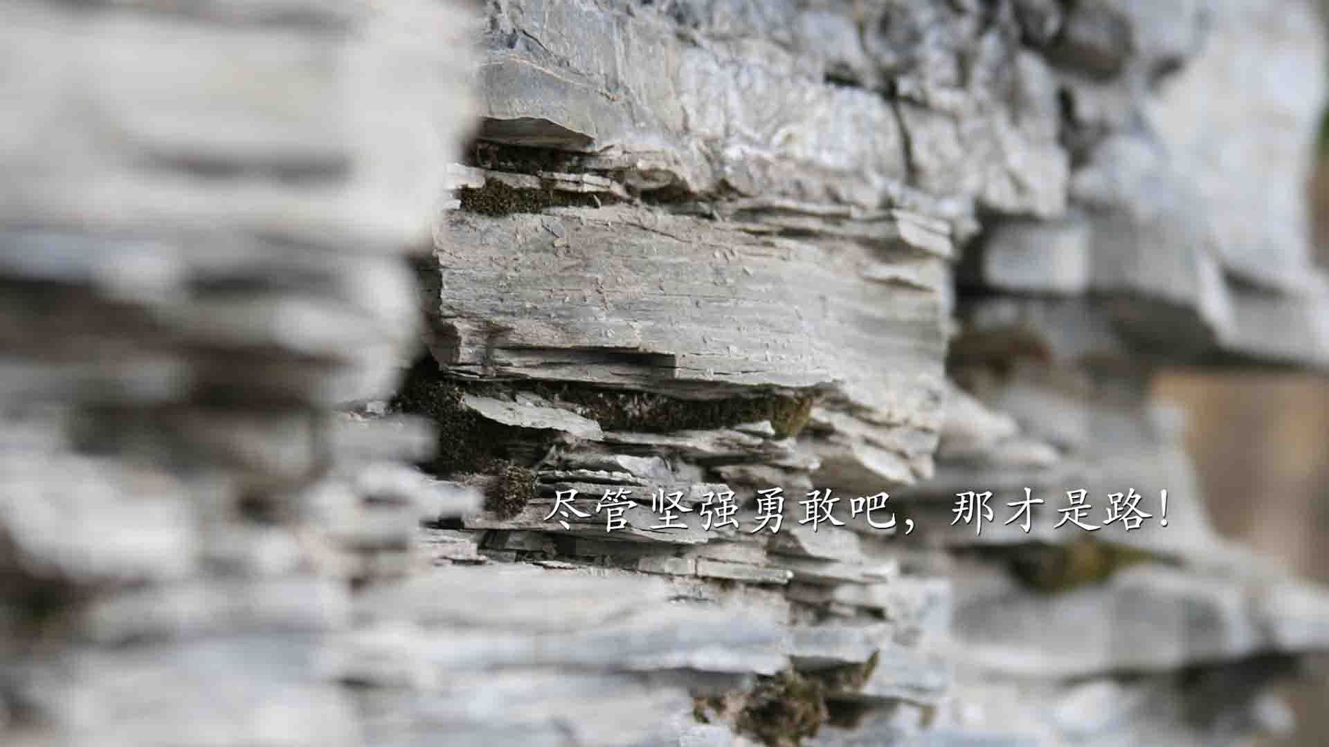 乐鱼电竞在线平台登录入口-未来足球运动设备融合脑机接口，实现更精准操作