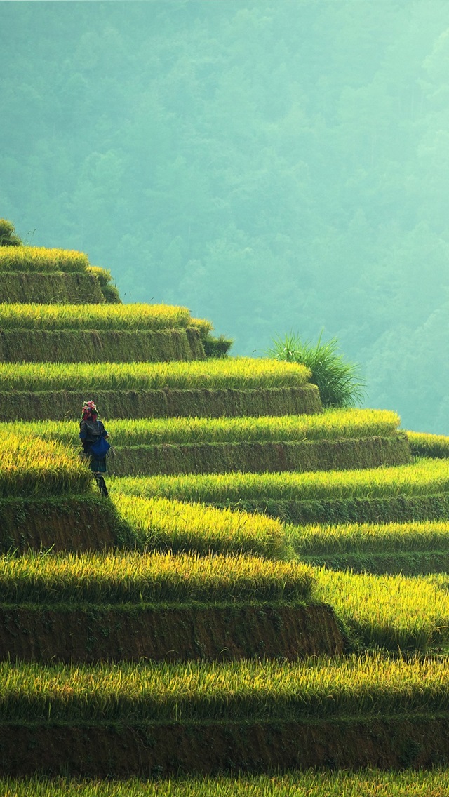 中国绿色乡村队奥运选拔赛，新人表现抢眼的简单介绍