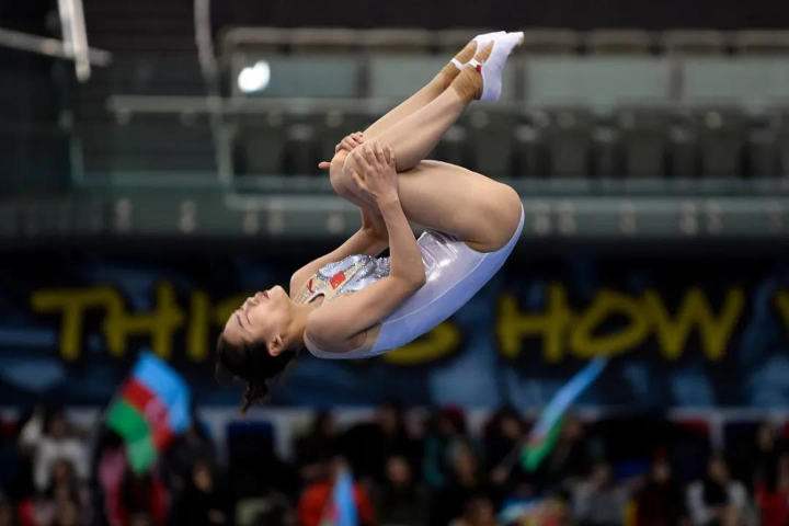 中国生态工程队奥运备战，全力冲击金牌