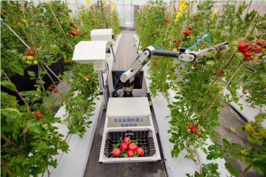 世界绿色科技锦标赛开赛，中国选手志在夺金的简单介绍