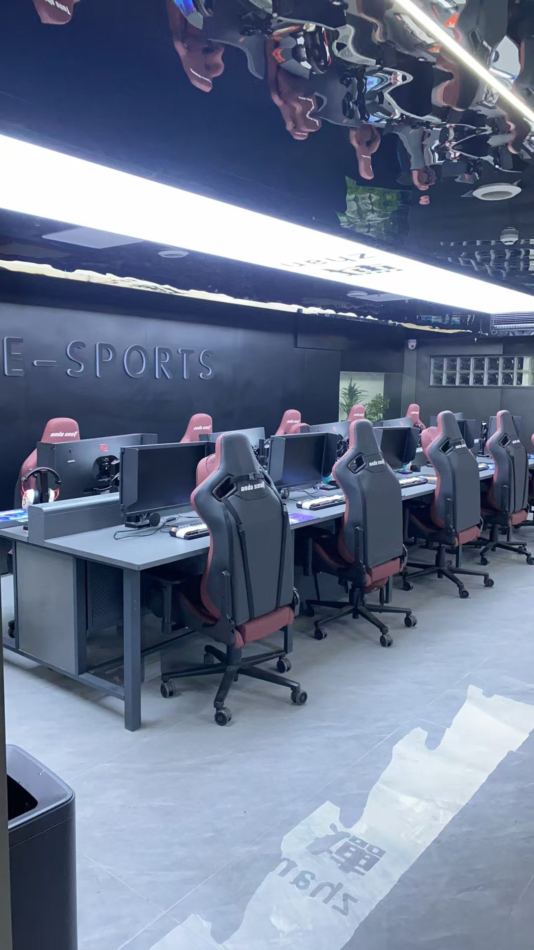 关于从爱好到职业：电竞选手的成长与心路历程。的信息